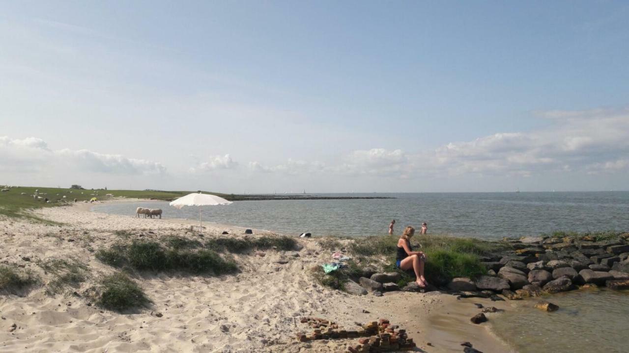 Heerlijk Huis Aan Het Ijsselmeer Stavoren Ngoại thất bức ảnh