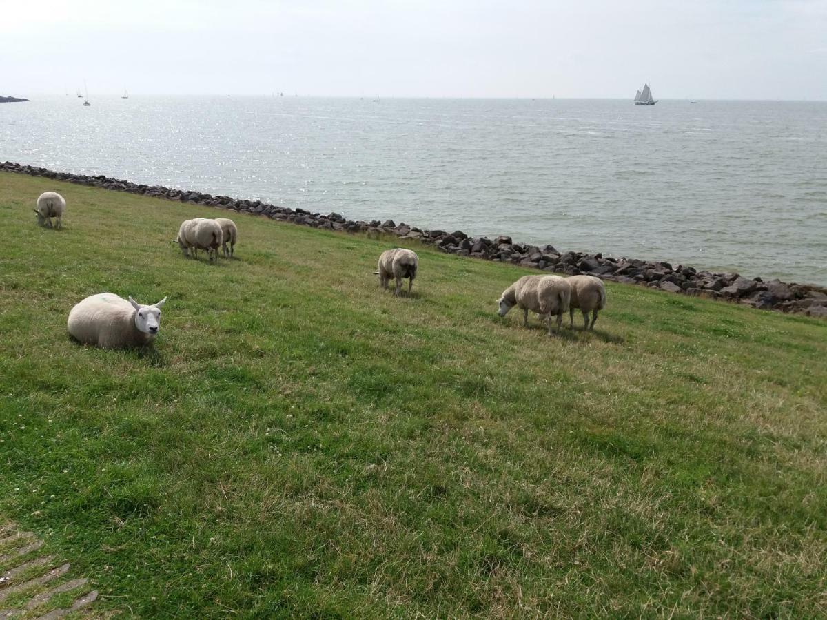 Heerlijk Huis Aan Het Ijsselmeer Stavoren Ngoại thất bức ảnh